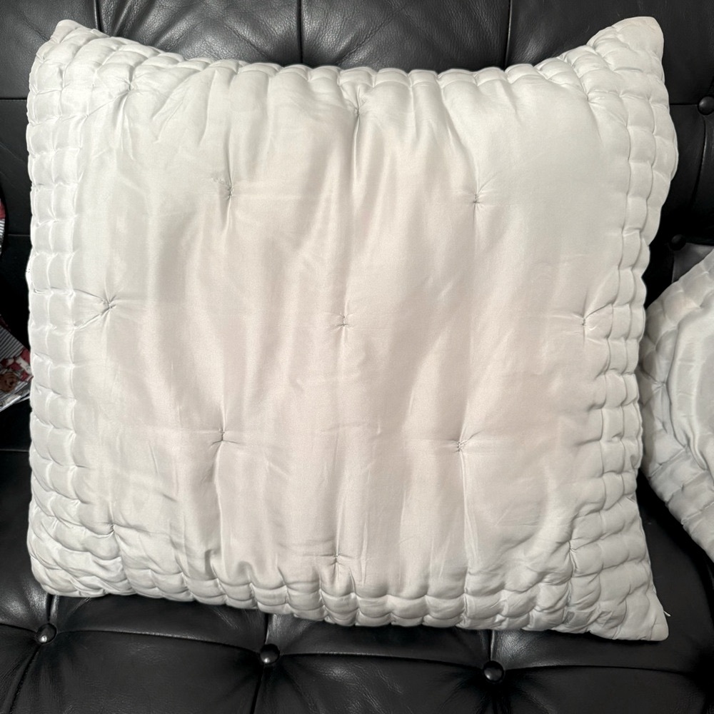 Pottery Barn | 100% Silk | Euro Size | 2/ Pillow Covers